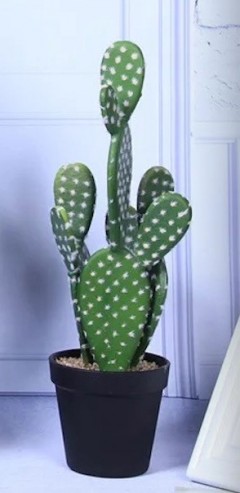 Cactus Plat