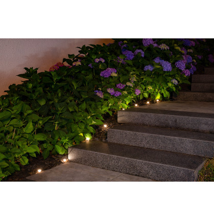 Girlande solaire à planter 10 LED - 5 mètres 