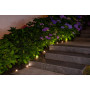 Girlande solaire à planter 10 LED - 5 mètres 