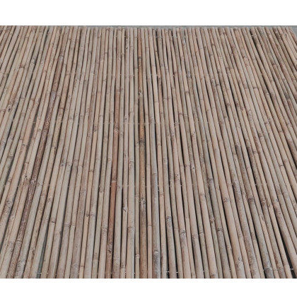 Canisse bambou ronde
