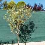Maille vert 200g -Situation