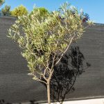 Maille gris 200g Situation