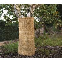 Protection pour arbres