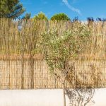 Paillons fins roseaux Situation-2
