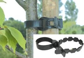 Collier pour arbres